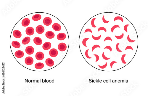 Blood structure concept