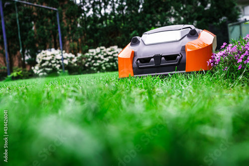 Lawn robot mows the lawn. Robotic Lawn Mower cutting grass in the garden.