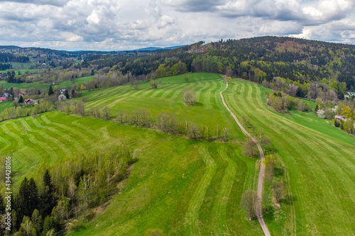 Lush green spring hilly landscape with rural fields and road with alley of trees