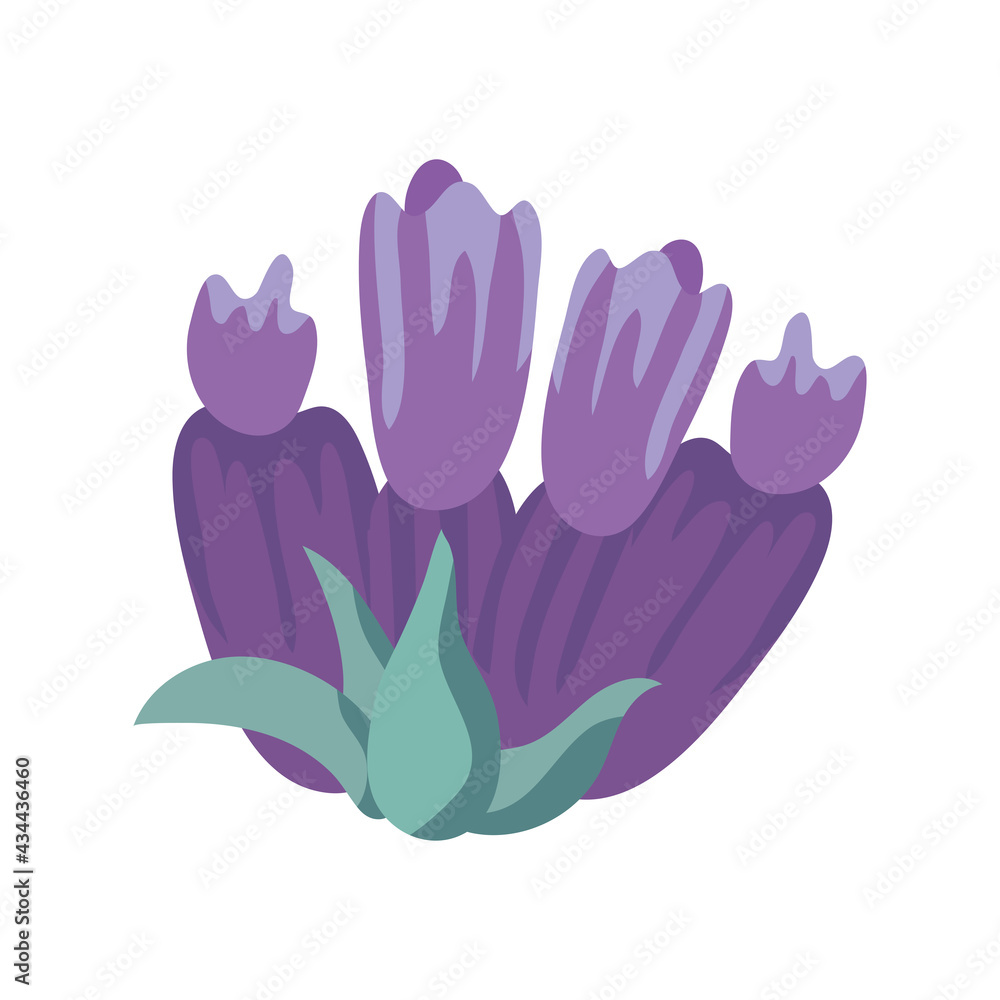 Fototapeta premium cute lavender flowers and leafs