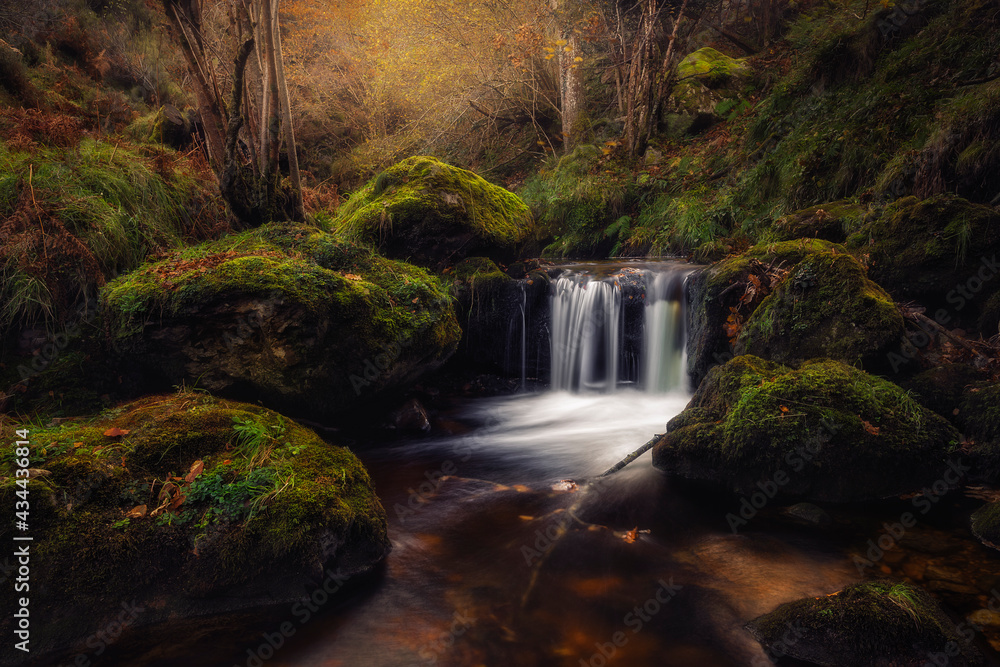 Fototapeta premium cascada en otoño