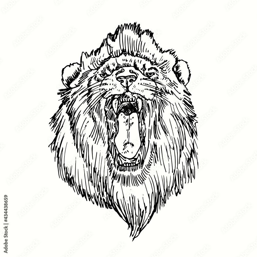 Angry lion drawing hi-res stock photography and images - Page 2 - Alamy