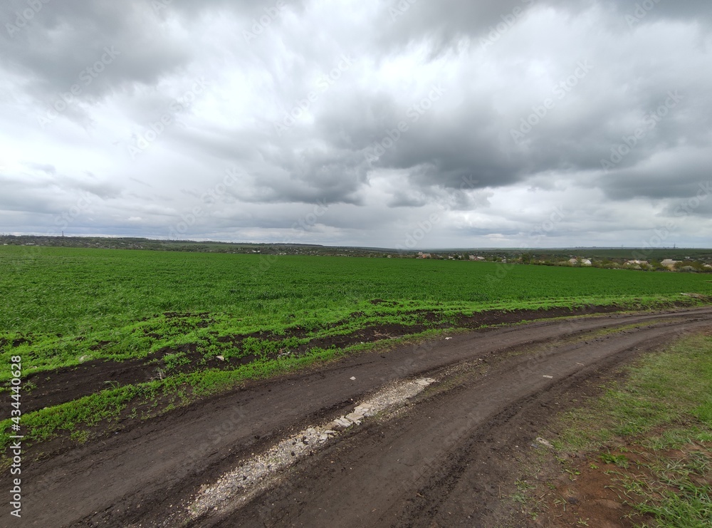 landscape with road