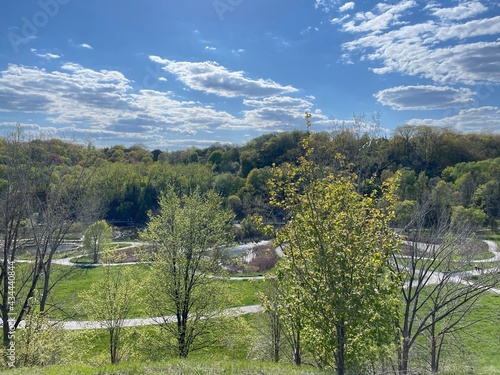 landscape with trees and sky