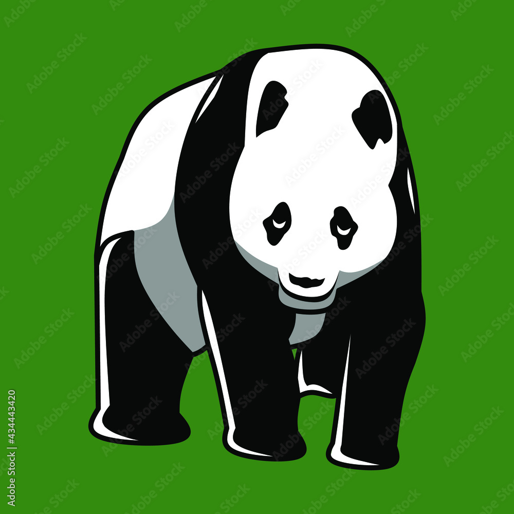 The giant panda Chinese also known as the panda bear or simply the panda The giant panda Chinese also known as the panda bear or simply the panda