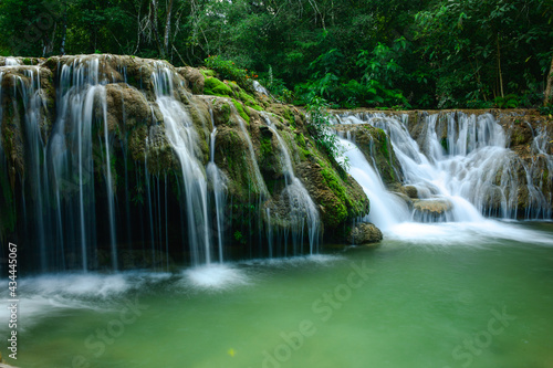 waterfall in the forest