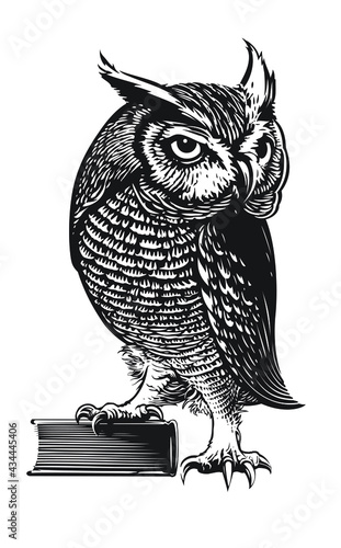 Wise owl