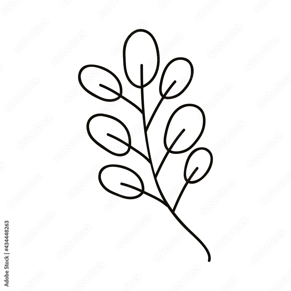 leafs branch hand draw leafs branch hand draw