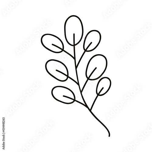 leafs branch hand draw