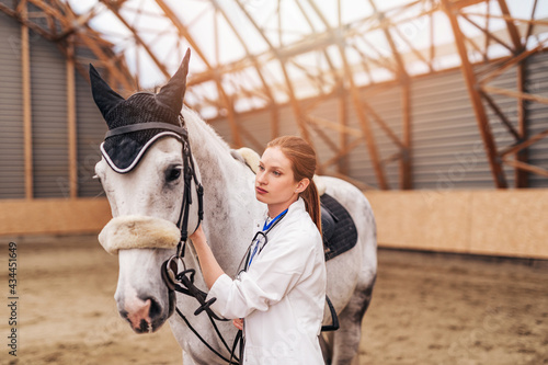 Veterinarian examining horses at the ranch. photo