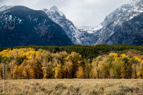dramatic snow capped jagged peaks of Grand teton mountains surrounded by vibrant autumn foliage of aspen and birch trees in Wyoming. © Nathaniel Gonzales