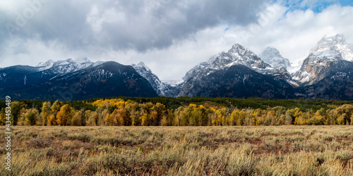 dramatic snow capped jagged peaks of Grand teton mountains surrounded by vibrant autumn foliage of aspen and birch trees in Wyoming. © Nathaniel Gonzales