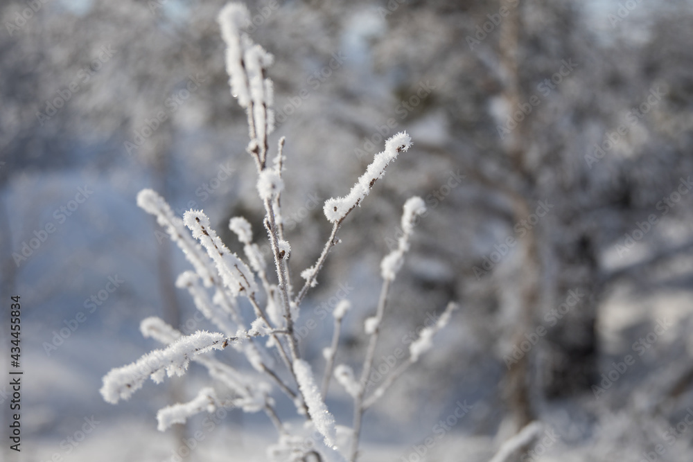 Icicles