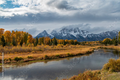 dramatic autumn landscape of the snow capped Grand teton mountain range surrounded by golden colored leaves of aspen and birch trees .