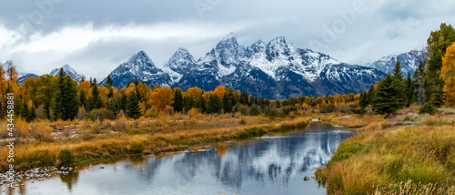 dramatic autumn landscape of the snow capped  Grand teton mountain range surrounded by golden colored leaves of aspen and birch trees . © Nathaniel Gonzales