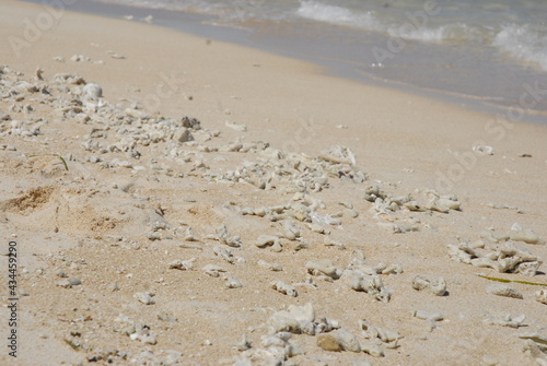 白砂の浜辺