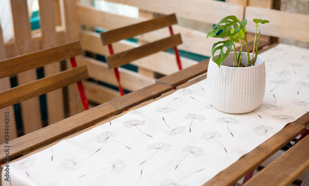 Top view and selective focus shot of wooden table and chairs with plant in the vast decorated in minimal and natural style for dinner and meeting in house or restaurant which give comfortable feeling. Top view and selective focus shot of wooden table and chairs with plant in the vast decorated in minimal and natural style for dinner and meeting in house or restaurant which give comfortable feeling.