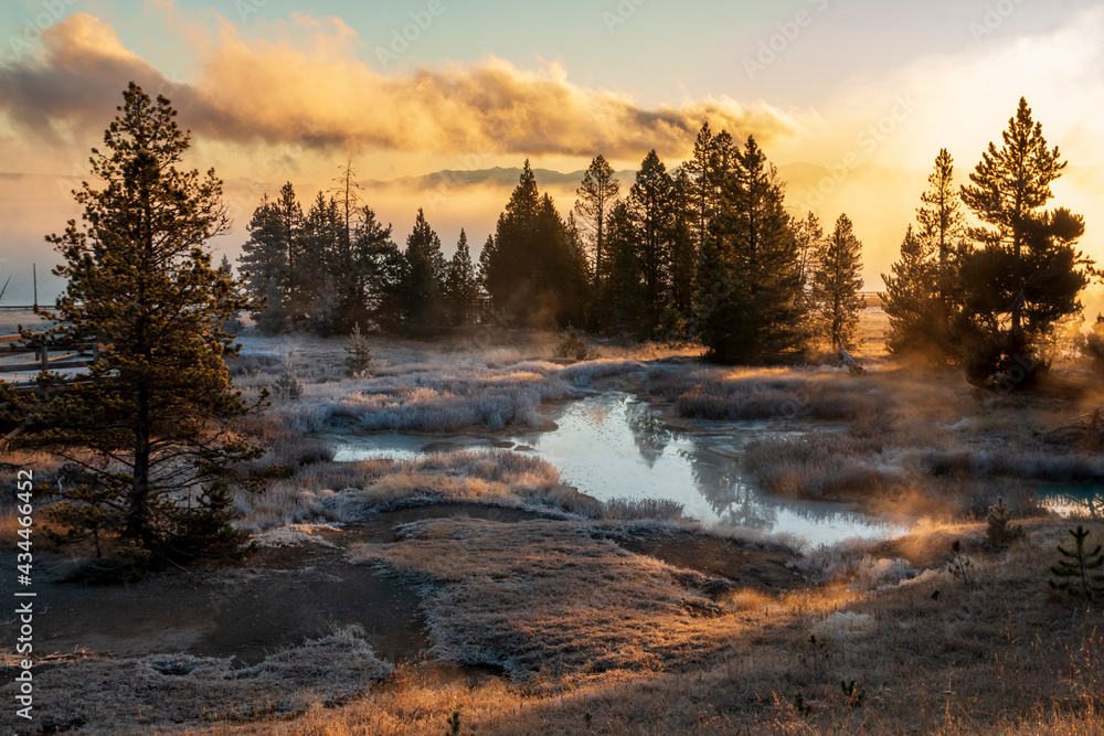 dramatic frosty and foggy autumn morning covering the yellowstone lake , hot sprinngs and cones in the West Thumb Geyser basin in Yellowstone national park in Wyoming.