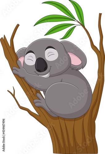 Cartoon koala sleeping on a tree branch