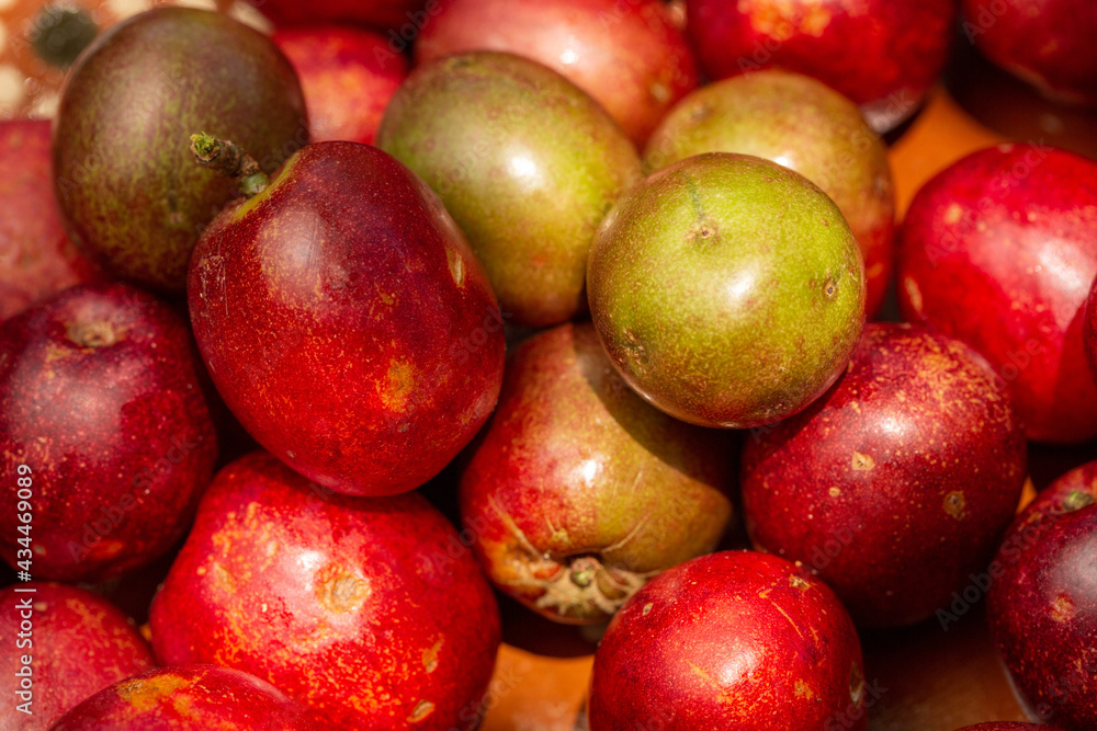 Ciruela Amarilla o Ciruela mexicana en un plato Stock Photo | Adobe Stock