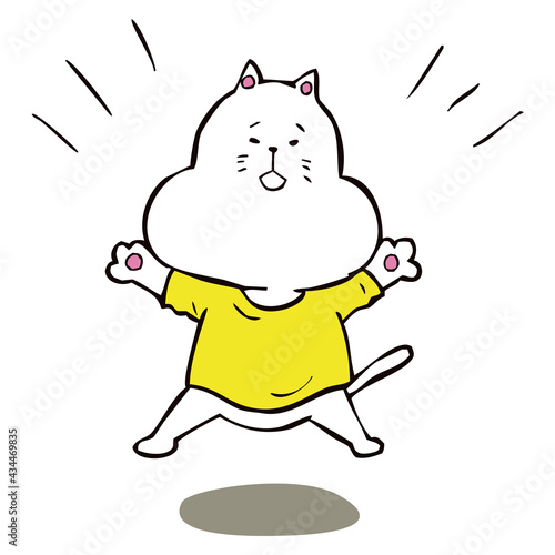 体で喜びを表現する猫