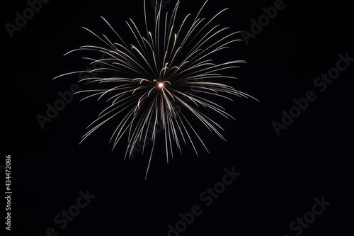 Wallpaper Mural Feux d'artifices de 14 Juillet Torontodigital.ca