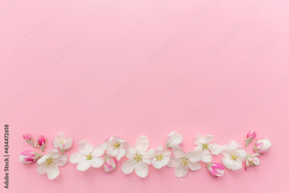 Flat lay on pink background with apple blossom ornament border