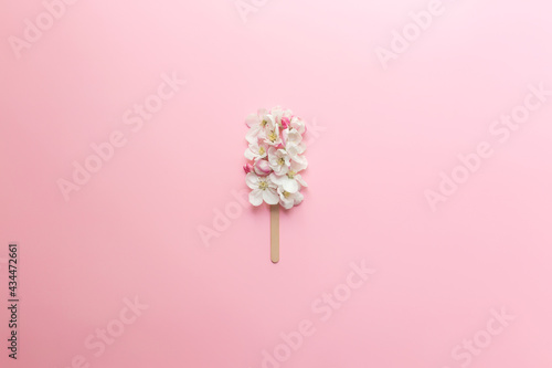 Flat lay on pink background with apple blossom ice cream lolly on a stick © Lena Ivanova