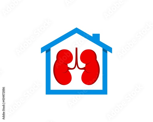 Simple house with healthy kidney inside
