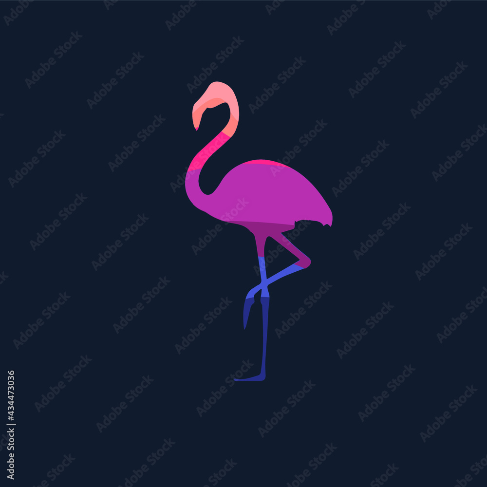 flamingo on a black