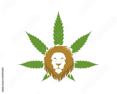 Lion head with cannabis leaf behind