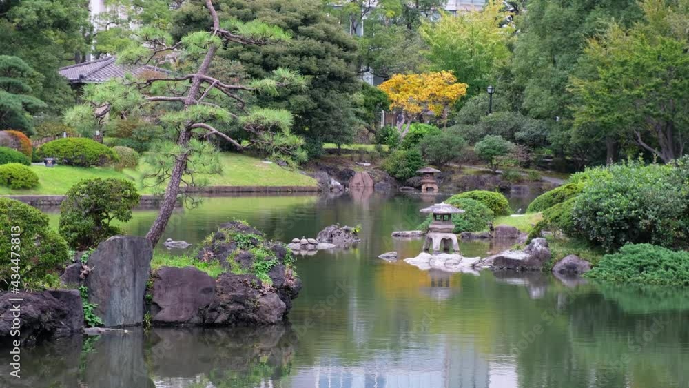Video of a pond at the center of Yasuda Garden (Kyu-yasuda Teien), a small Japanese stroll garden located in Ryogoku. Tokyo. Japan