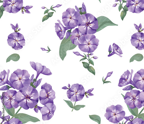 Fototapeta Naklejka Na Ścianę i Meble -  Hand drawn purple phlox pattern
