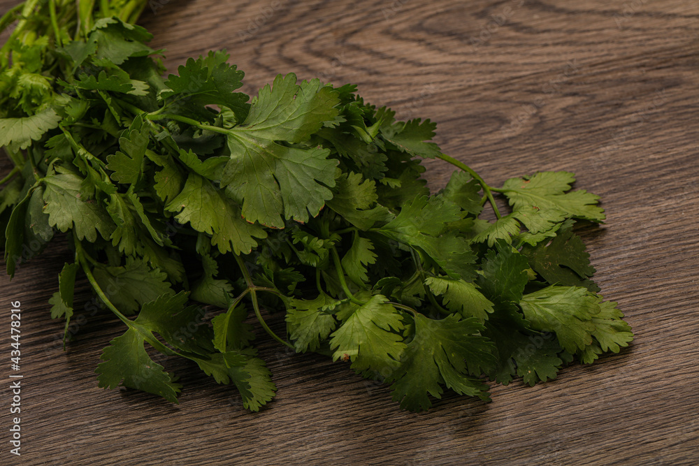 Green coriander or cilanto leaves heap Green coriander or cilanto leaves heap