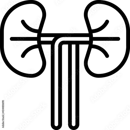 kidney