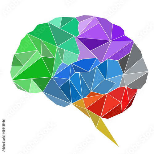 Graphic illustration picture colorful brain