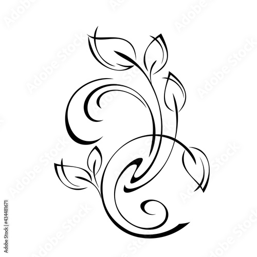 ornament 1770. unique decorative element with stylized leaves and curls in black lines on a white background