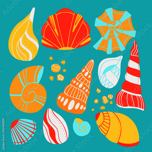 Set of cartoon seashells with sand and doodle ornament on blue background. Flat design element of ocean inhabitants with boho ornaments. Vector molluscs, shells and snails