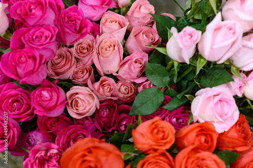 Flower arrangement of beautiful roses. Bouquet of roses.