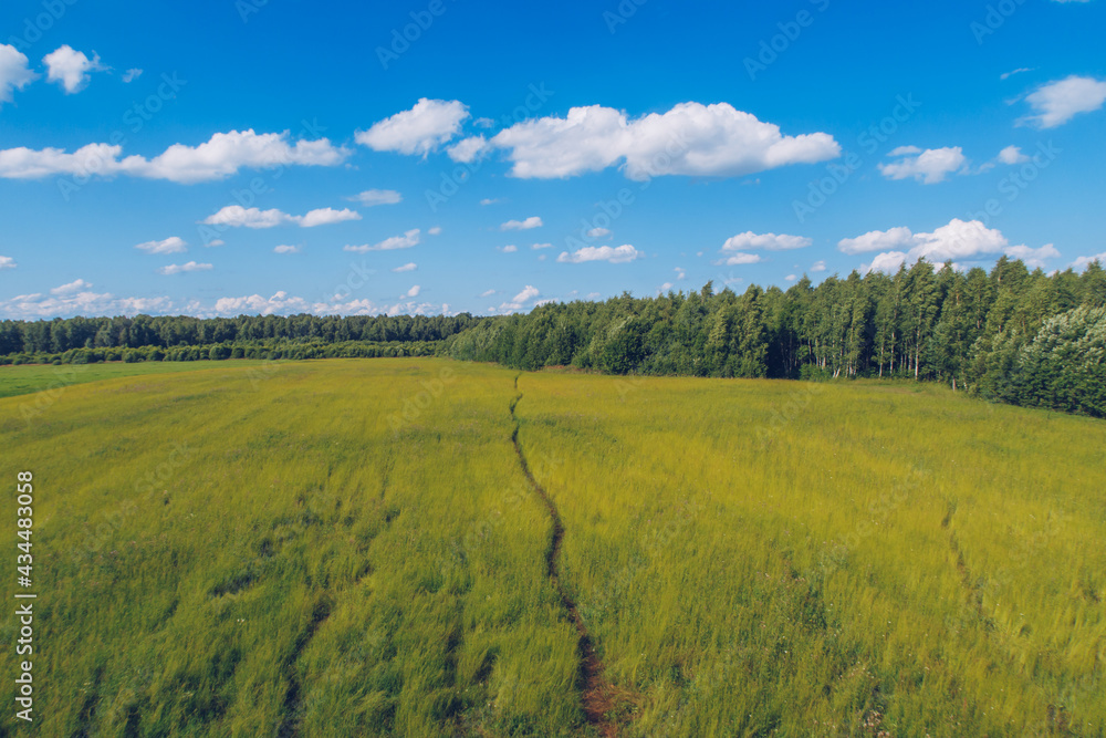 Fototapeta premium Trail in the field grass. Meadow picturesque summer landscape with clouds on blue marvelous sky view background. Green grassland countryside stock photo.
