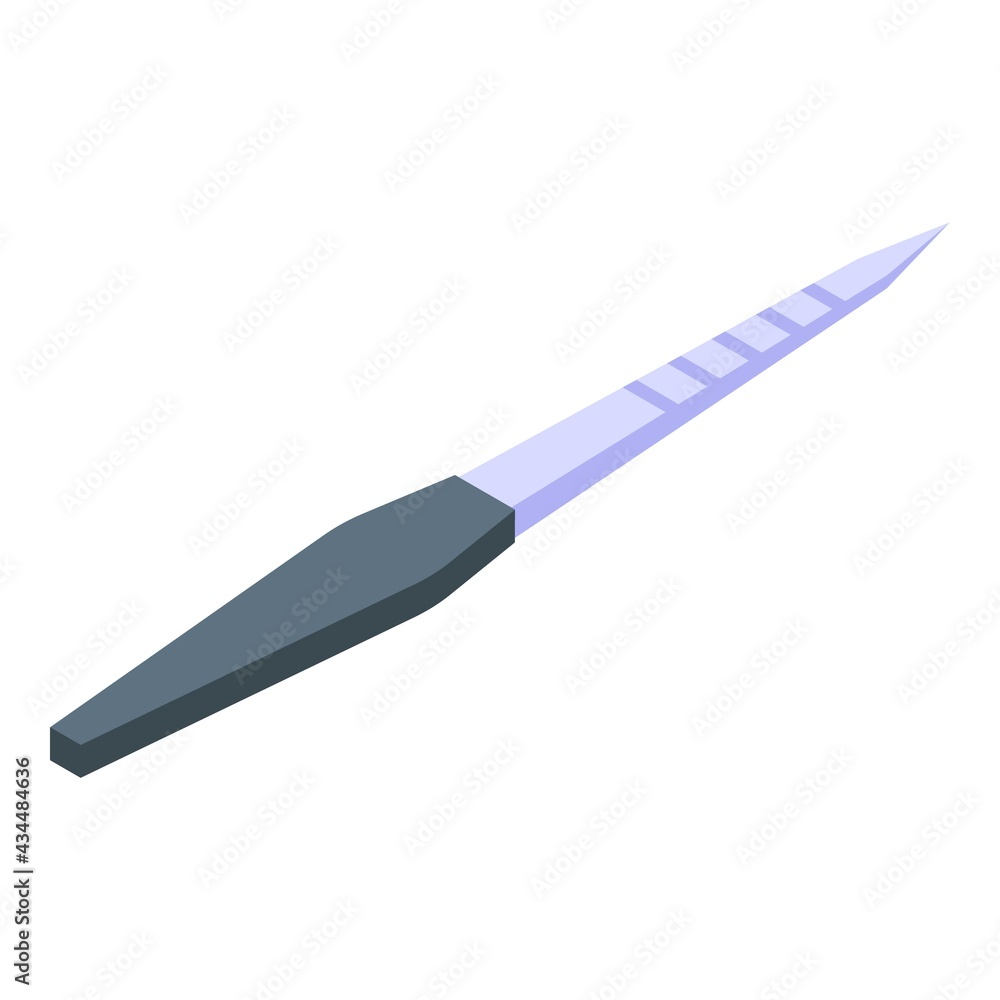 Nail file icon. Isometric of Nail file vector icon for web design isolated on white background Nail file icon. Isometric of Nail file vector icon for web design isolated on white background