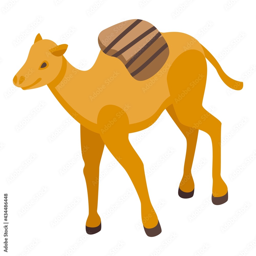 Obraz premium Zoo camel icon. Isometric of Zoo camel vector icon for web design isolated on white background