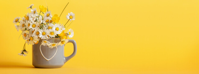 Bouquet of daisy flowers in gray cup on yellow background. Spring still life with little chamomile. Banner.
