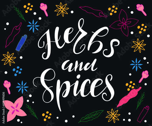 Herbs and spices handwritten text.  Design for poster  logo  print. Spice shop  store  market concept. Vector colorful illustration