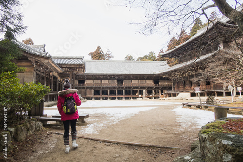 Shoshazan Engyo-ji Temple represents the prosperity of Japan's past Buddhism.
