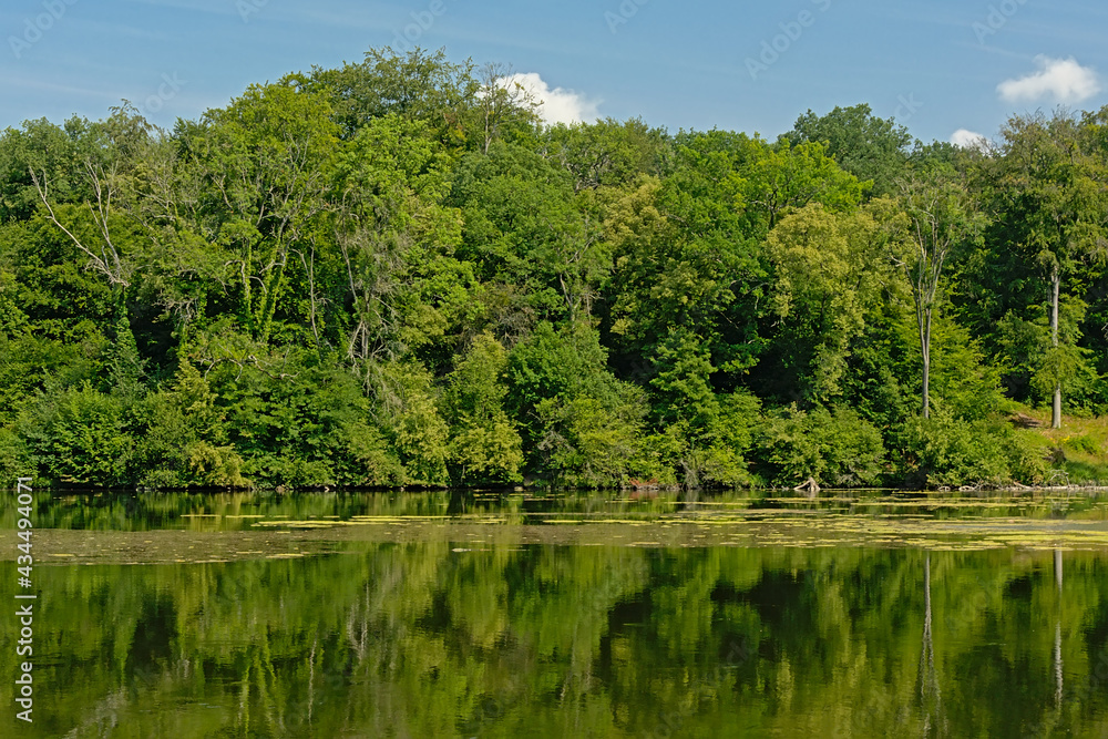  Sunny summer forest reflecting in the water of Comelles lake, Orry-la-Ville , Oise, France 