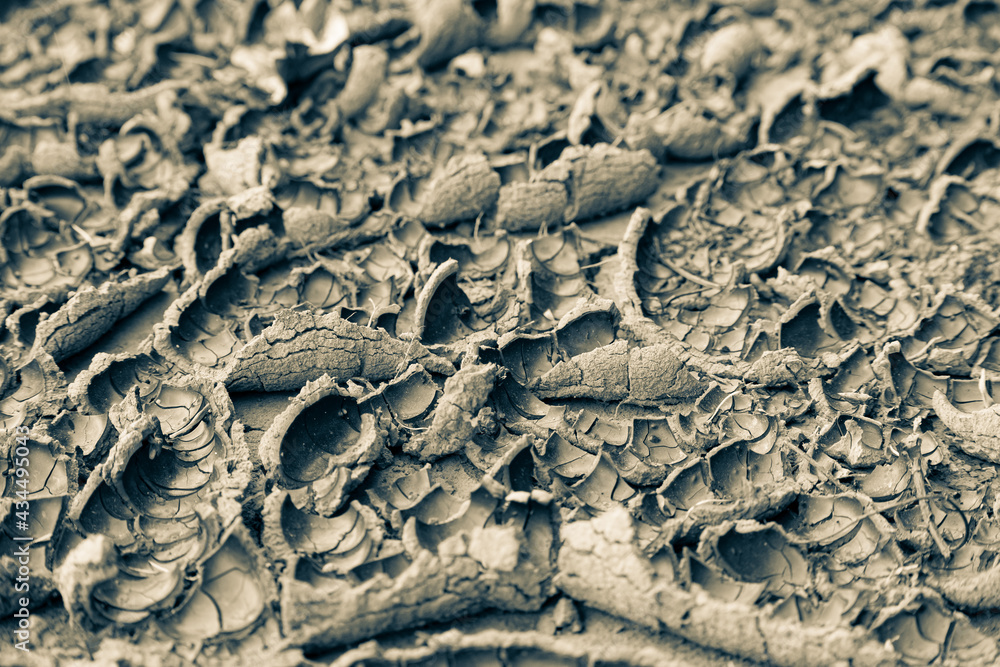 Cracked surface background