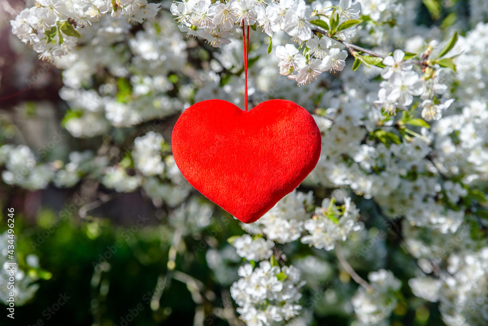 A symbol of love among on a cherry blossom branch A symbol of love among on a cherry blossom branch