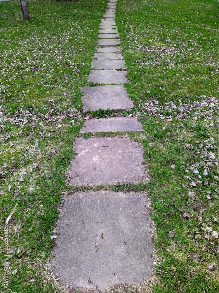 path in the park is made of concrete square slabs