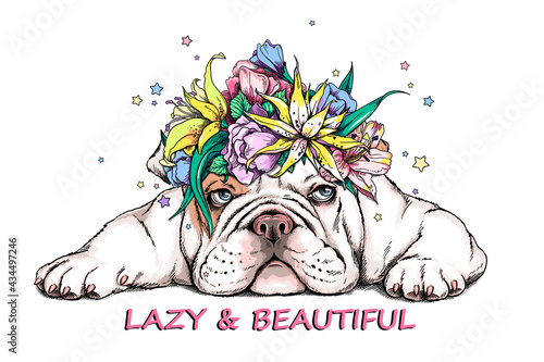 Cute english bulldog in a floral wreath. Lazy and beautiful illustration. Stylish summer image for printing on any surface	